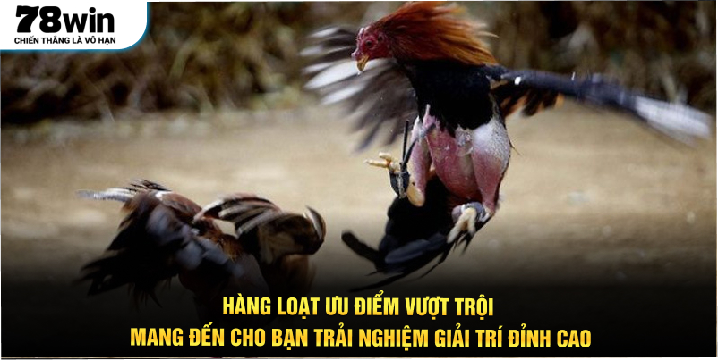 Hàng loạt ưu điểm vượt trội mang đến cho bạn trải nghiệm giải trí đỉnh cao